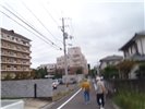図66